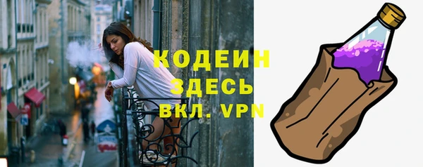твердый Гусь-Хрустальный