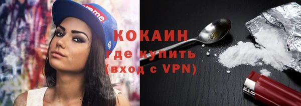 твердый Гусь-Хрустальный