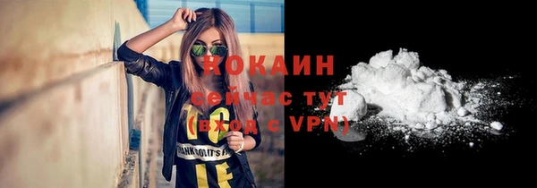 твердый Гусь-Хрустальный
