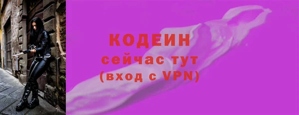 твердый Гусь-Хрустальный