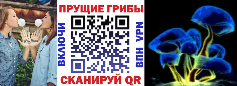 мега ссылки  магазин  наркотиков  Дивногорск  Псилоцибиновые грибы GOLDEN TEACHER 
