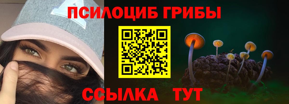 Дивногорск  закладки  Вход с VPN  Галлюциногенные грибы прущие грибы 
